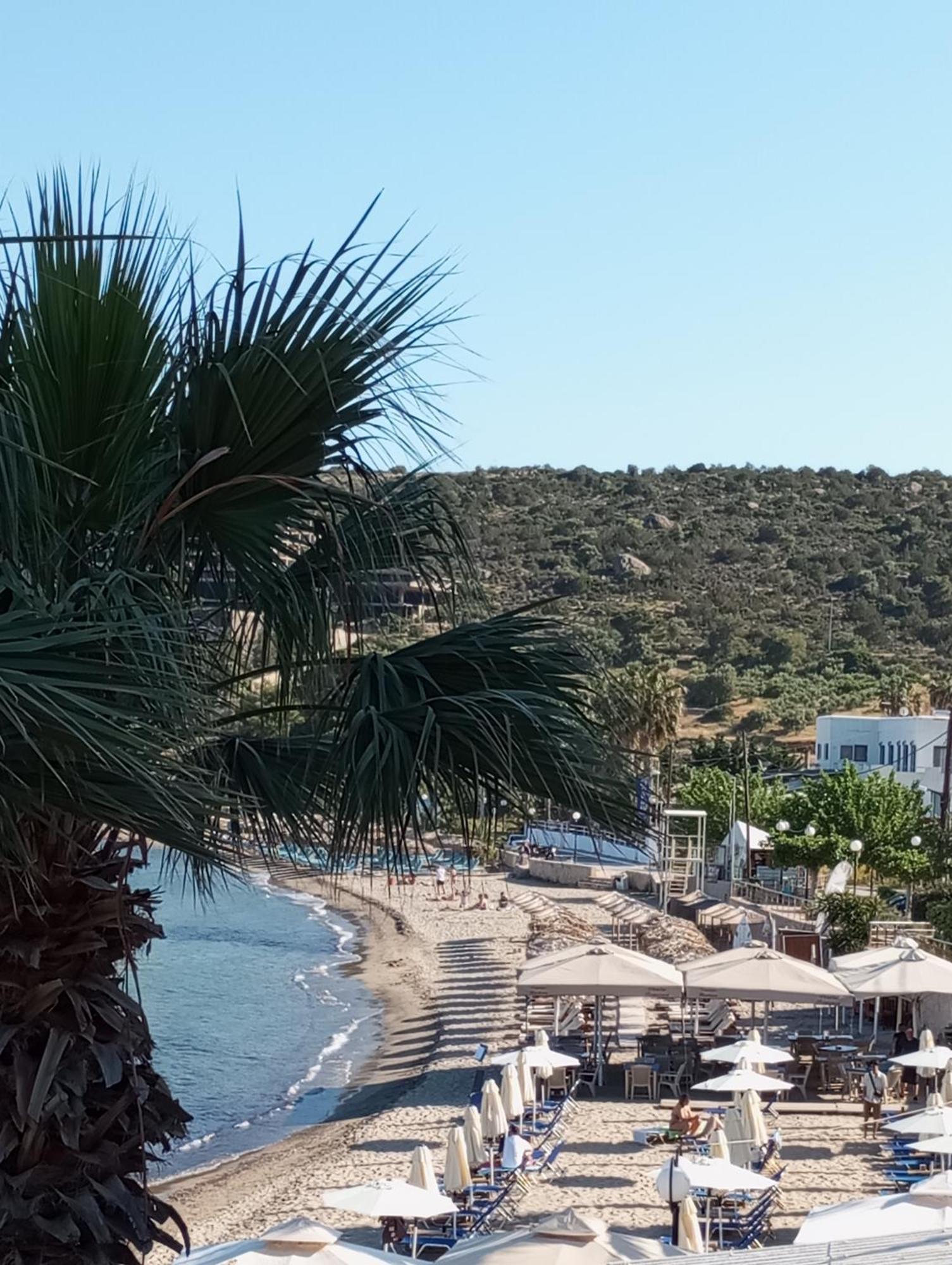 Svetlana & Michalis Oasis Hotel Agia Marina (Aegina) Exterior foto